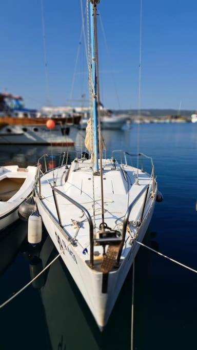 Apartament Ellity Crikvenica Zewnętrze zdjęcie