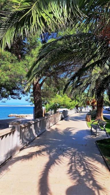 Apartament Ellity Crikvenica Zewnętrze zdjęcie